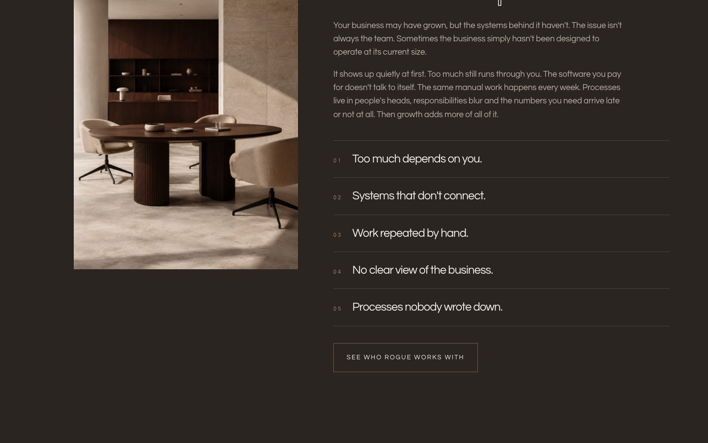 Rogue Business Consultancy website section