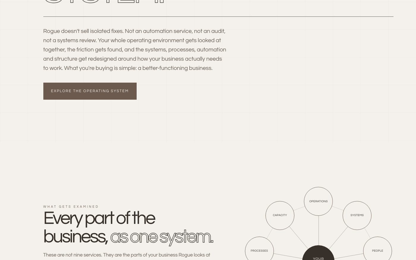 Rogue Business Consultancy website section