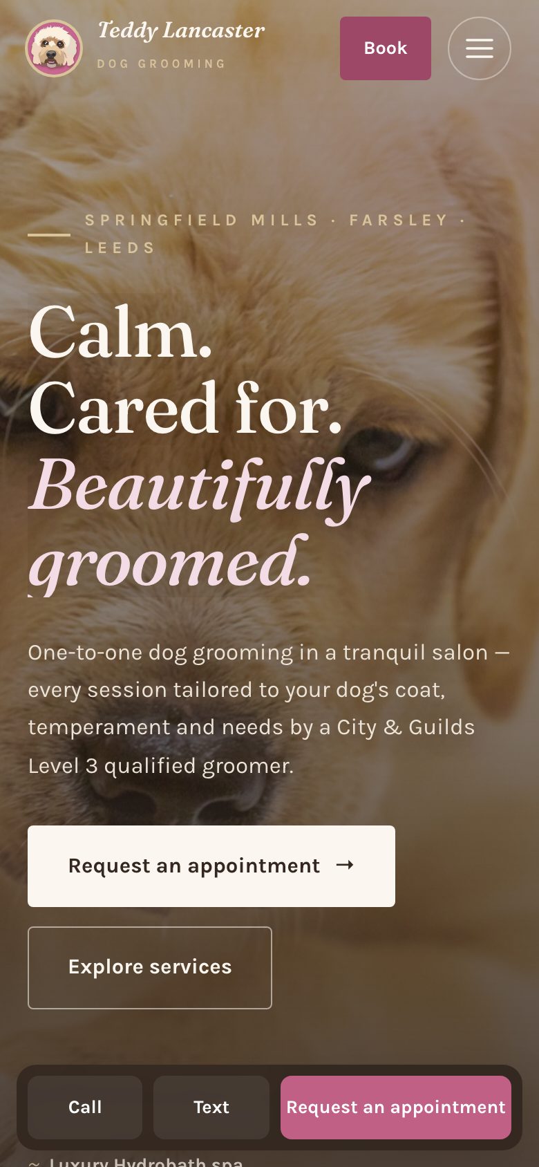 Teddy Lancaster mobile design