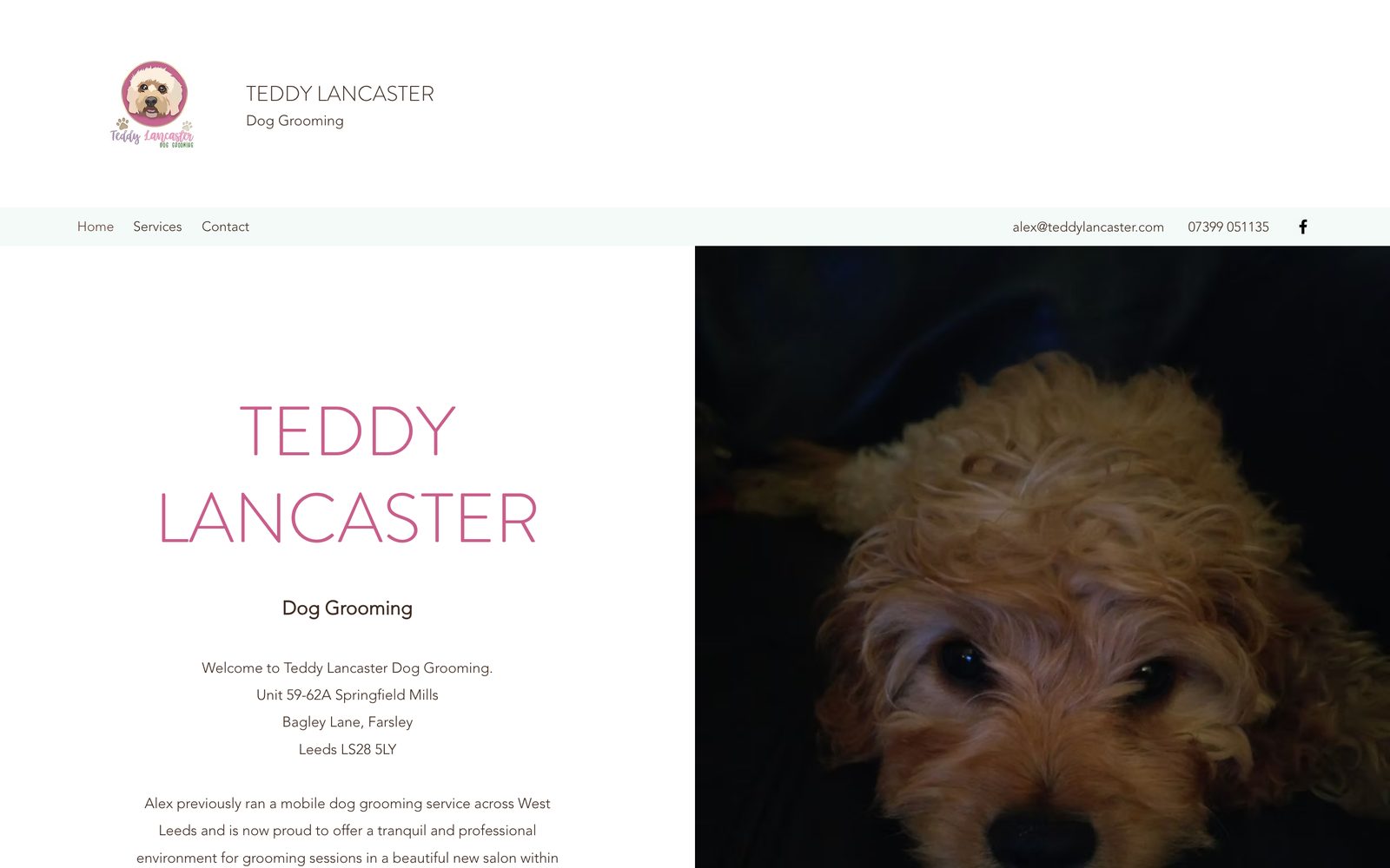 Teddy Lancaster website before the redesign