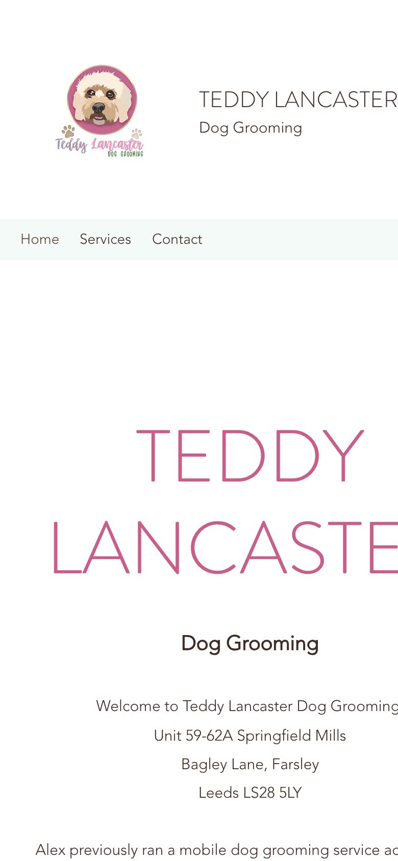 Teddy Lancaster website before the redesign, on a phone