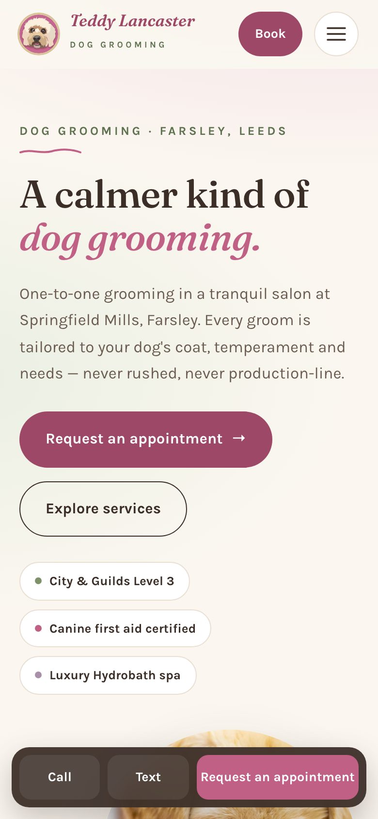 Teddy Lancaster dog grooming concept