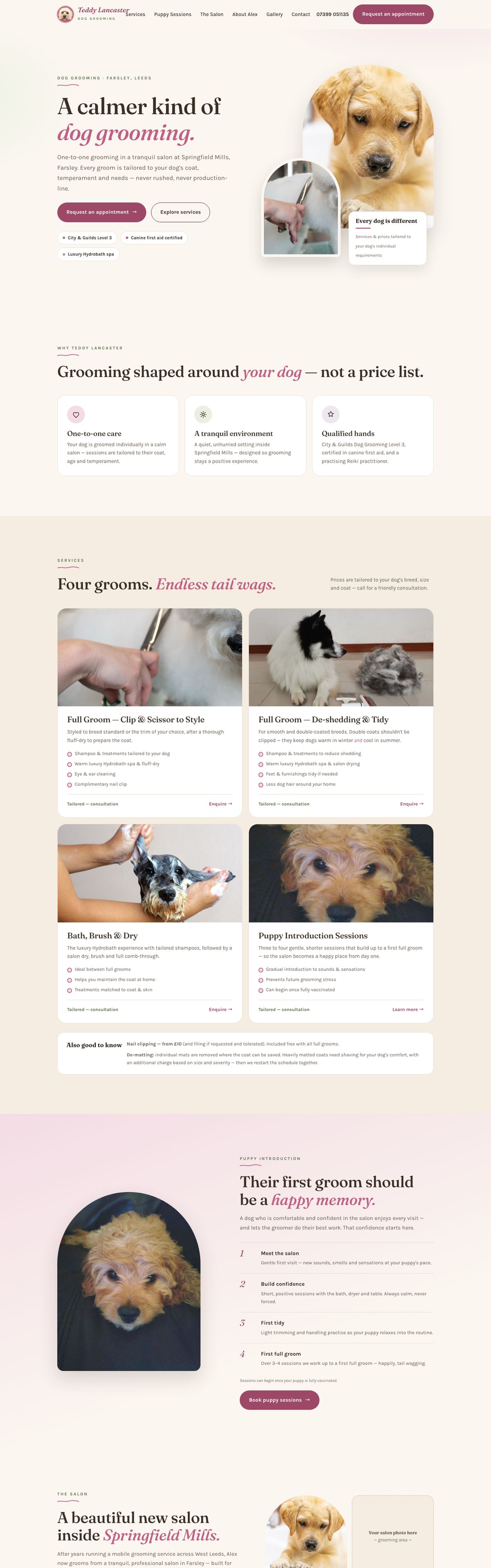 Teddy Lancaster full homepage design